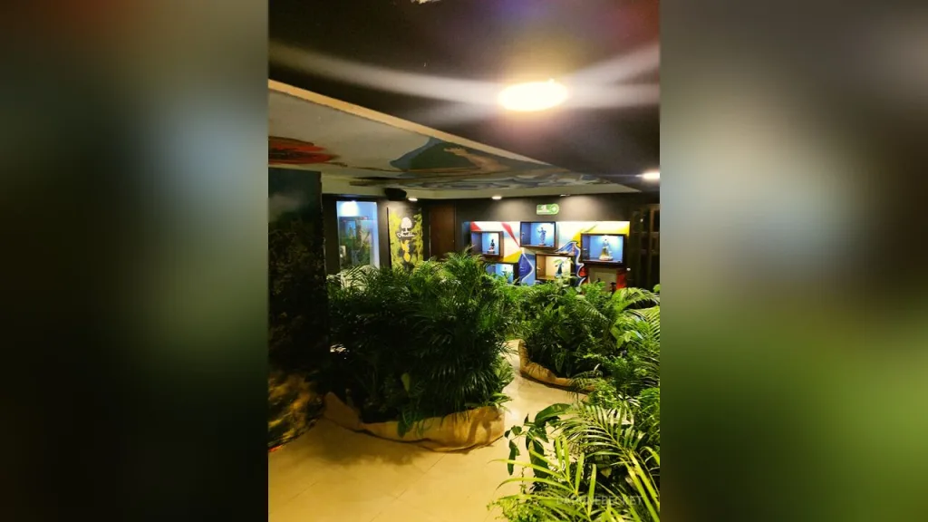 DaphneBecket — DaphneBecket is not visible in this shot of a dark room filled with indoor plants and several glowing television screens.