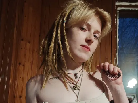 Qoshka cam model
