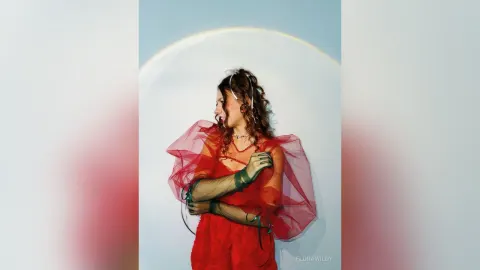 FloraWildy — red rose