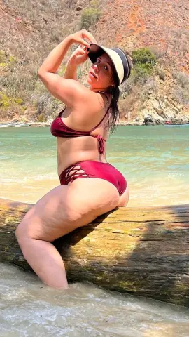 Curvy woman in a burgundy bikini sitting on a log at a sunny tropical beach with ocean waves.
