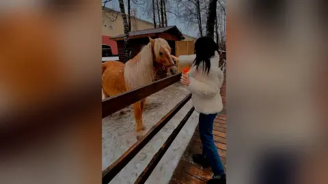 StacyHarland — StacyHarland stands outdoors in a white furry coat and blue jeans, reaching out to touch a light brown pony behind a wooden fence.