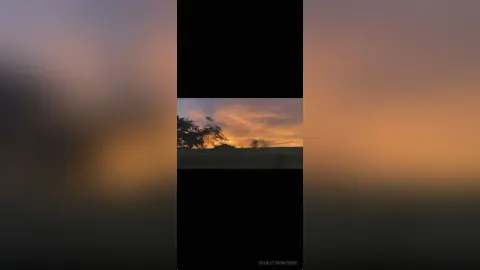 Serene sunset landscape with golden clouds over a dark silhouette of trees in a peaceful meadow.