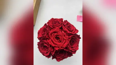 JudithCoan — thank you
