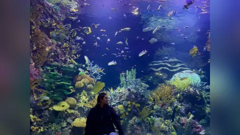 LucyMartin sits before a large, colorful coral reef tank filled with many small tropical fish.