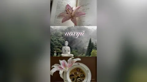 LiliyaTaft — morning