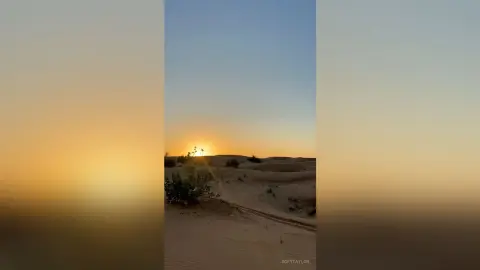 SofyTaylor — dubai