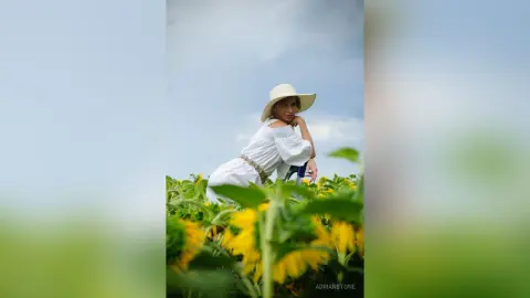 AdrianStone — My sunflower summer 2024