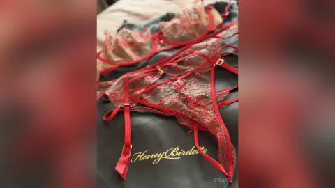ZyraRed — Gift❤️