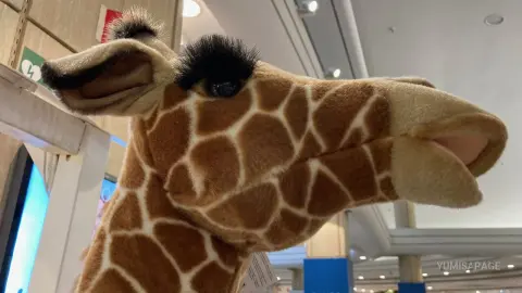 Close-up of a soft brown and tan plush giraffe toy in a brightly lit retail store setting.
