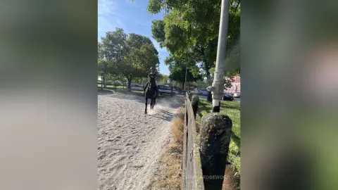 A female rider in equestrian gear riding a dark horse through a sunny outdoor dirt arena path.