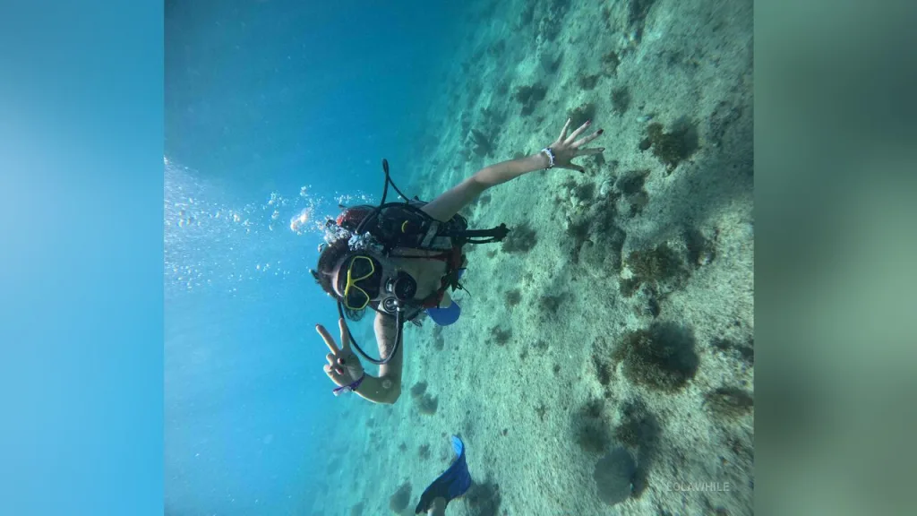 LolaWhile — Diving🤿