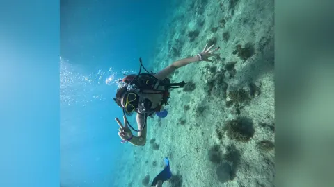 LolaWhile — Diving🤿