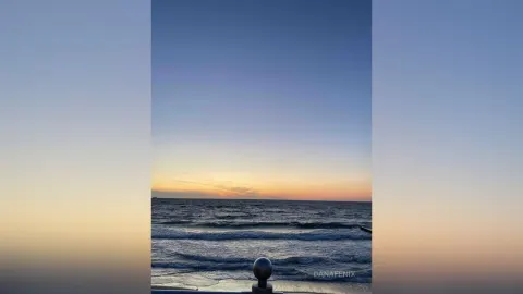 DanaFenix — Enjoying the sun!🌅