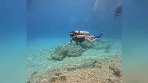 Female scuba diver in black gear swimming over a coral reef in clear blue tropical ocean water.