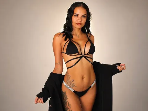 Gaviluc Prescott cam model