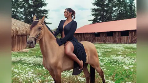 JessiCarther — Horse
