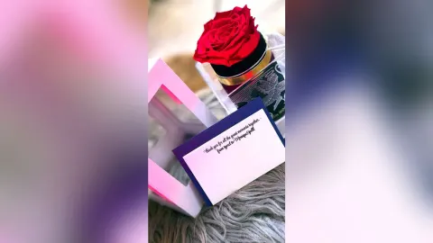 MoniqueSpelll — Thank you!❣️