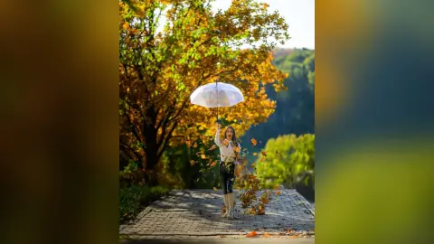 Young woman in white shirt holding a clear umbrella under autumn trees in a peaceful park setting.