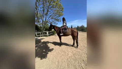 KaylahNur — Boots