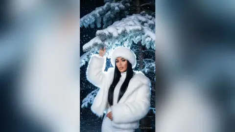 AlettaJaydenn — Winter Dream 
