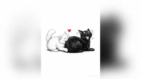 Cute black and white cartoon illustration of a white kitten cuddling a surprised black cat with a red heart.