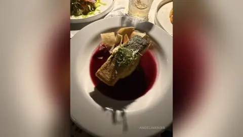 Gourmet seared salmon fillet served in a red wine reduction sauce on a white plate in a fine dining setting.