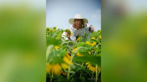 AdrianStone — My sunflower summer 2024
