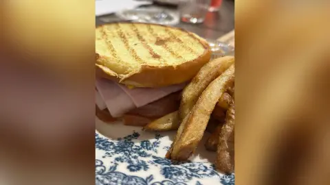 Delicious toasted ham and cheese panini served with crispy golden french fries on a blue patterned plate.