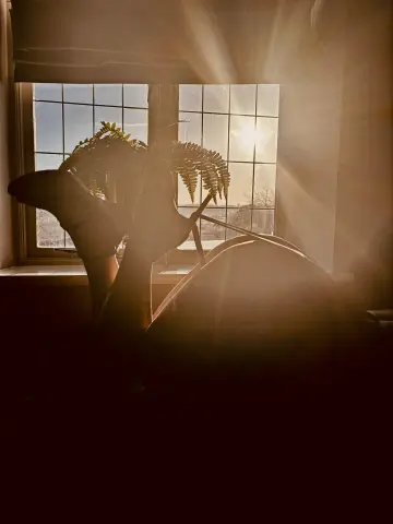 KatieCarterX — Streamate Photos