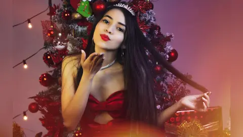 AmyBeck — Christmas