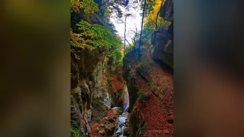 RossiNoleen's photo features a narrow rocky canyon or gorge filled with autumn leaves and a small stream running through the bottom.