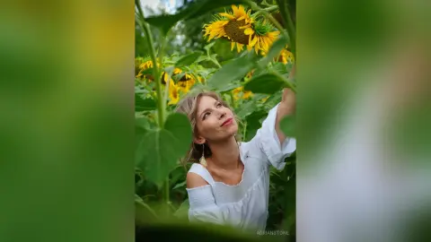 AdrianStone — My sunflower summer 2024