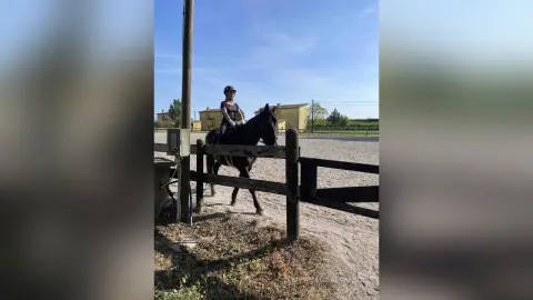 Female rider in black equestrian gear riding a dark horse in a sunny outdoor sand arena.