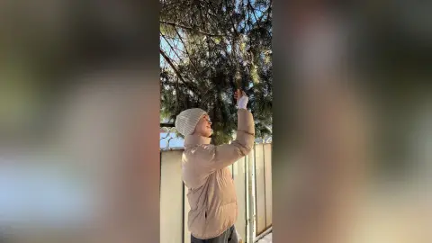 Woman in beige puffer jacket and knit beanie admiring evergreen tree branches in a snowy winter setting.