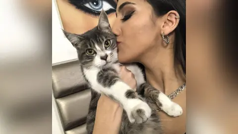 HaleyLyon — Pets