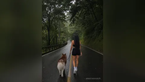AnastasiaVelo — AnastasiaVelo walks down a wet forest road with a brown and white dog on a leash.