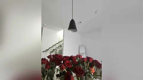 Minimalist modern living room interior featuring a black pendant light and vibrant red roses in a white room.