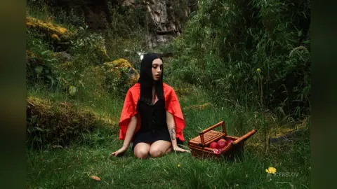AliceBelov — Little Red Riding Hood.