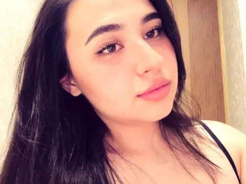 Stella23 cam model