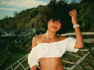 Alexawet_20 cam model
