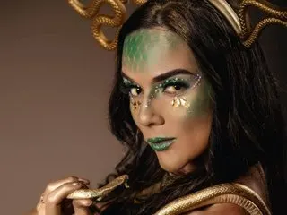 Alijohansonn cam model