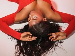 Amarakamali cam model