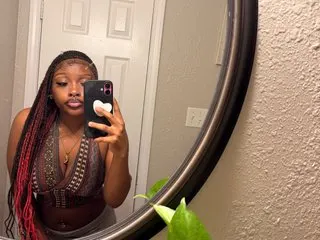Binowantsitall cam model