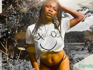 Dandeliones cam model