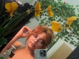 HolleyNicholes cam model