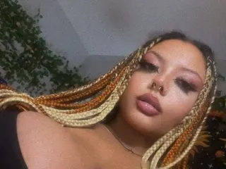 HolleyNicholes cam model