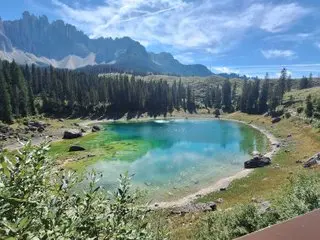 Ingenua86