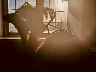 Relaxed person with feet up by a sunny window with indoor plants in a warm, cozy atmosphere.