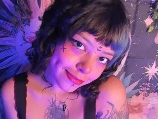 Layra66 cam model