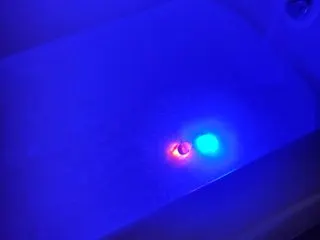 MagicTitty22 cam model